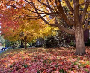 Fall Coleagues Best fall activities for college students (112 fun ideas) - College ...